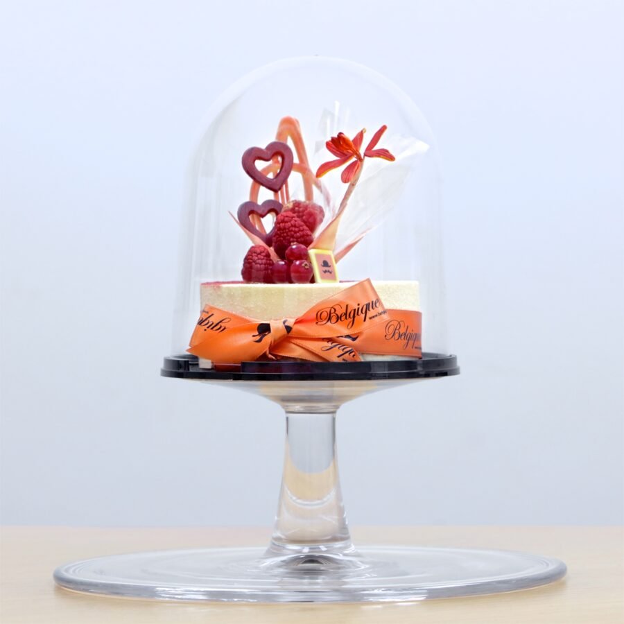 PLAISIR D'AMOUR - Valentine's Day Cake