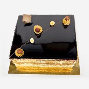 Rectangular layered dessert with hazelnut sponge, hazelnut mousseline, dark chocolate cream, and a glossy chocolate glaze on top.